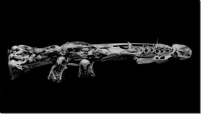 Bone Gun 2