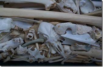 Environmental- Lintel #1(Closeup 1) (Small)