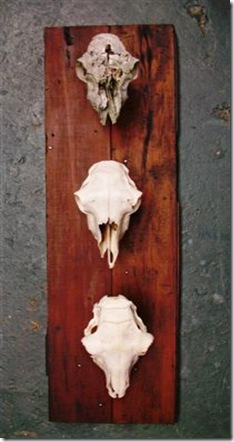 Environmental- Skull Rack (2) (Small)