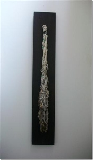 Environmental- Whale Rope -3 July 2010 (Small)