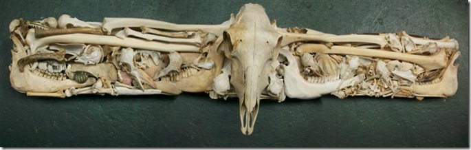 Environmental-Lintel#1 (Small)