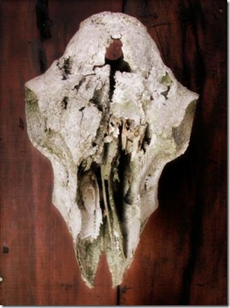 Environmental-Skull Rack detail (Small)