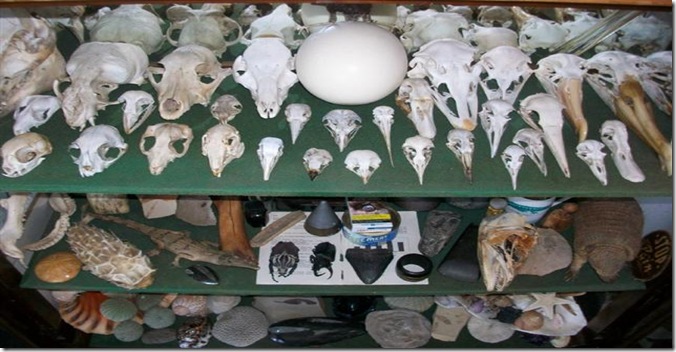 Feb 2010- Cabinet 1(EM) (Small)