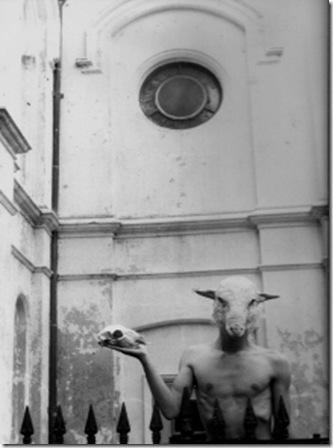Sheep Shakespeare