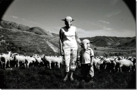 Sheep Farm(com)