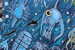 Plankton Wall(Detail)