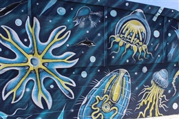 Plankton Wall(Detail) Wellington 2016