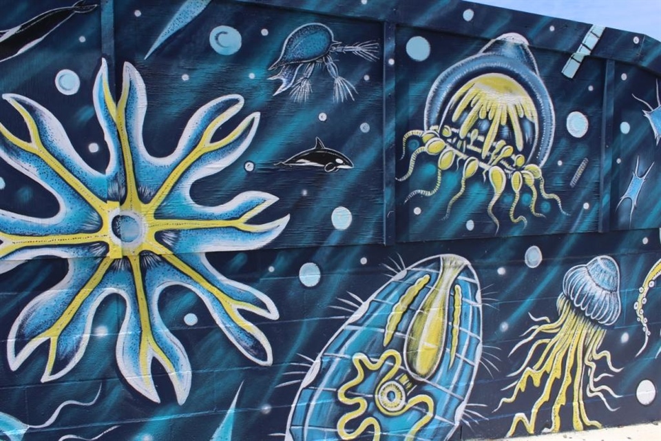 Plankton Wall(Detail) Wellington 2016