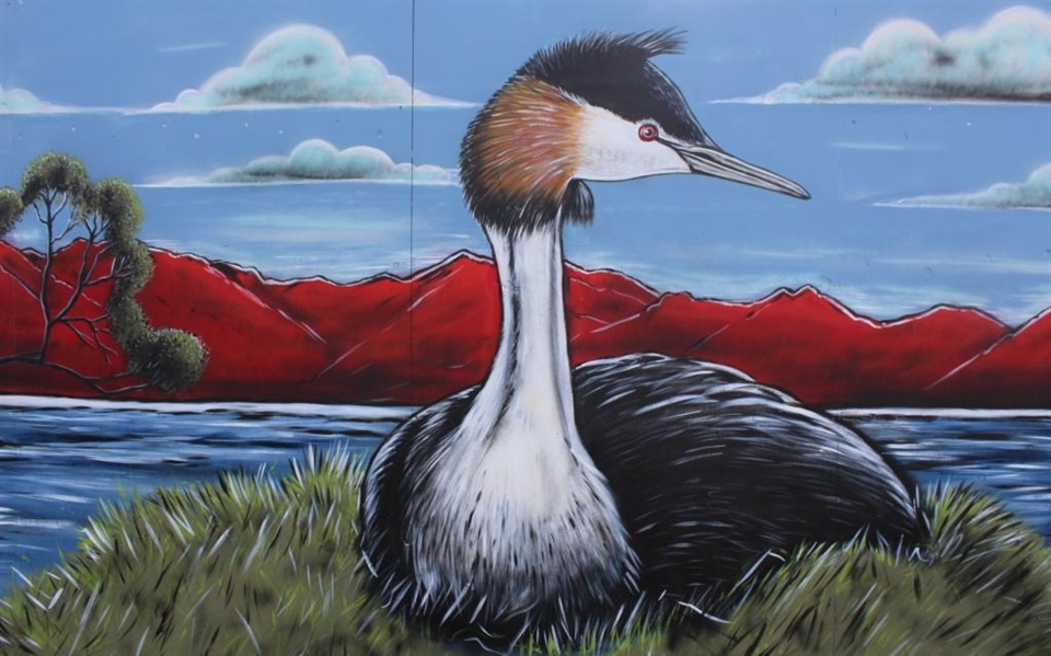 Great Crested Grebe - detail from the Grebe Mural for Wanaka Wastebusters 2021