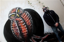 Burrowing Owl - Sunderland - England (2014)
