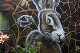 Hare and skull - part of a mural in Port Chalmers - 2019