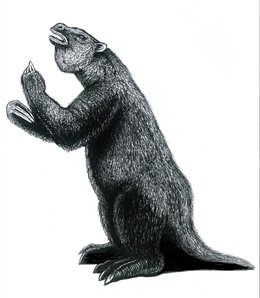 Extinct Giant Ground Sloth (Megatherium americanum) 